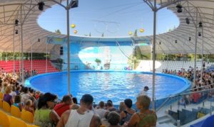 Dolphinarium 