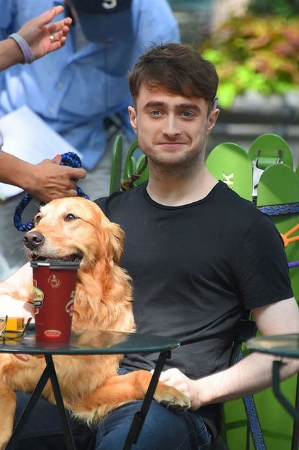 Daniel Radcliffe câini de mers pe jos