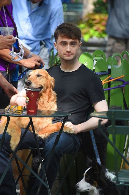 Daniel Radcliffe câini de mers pe jos