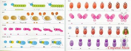 Joc didactic - melci - sau td - melc - dezvoltăm copilul acasă (de la 0 la 7 ani) - țara mamei