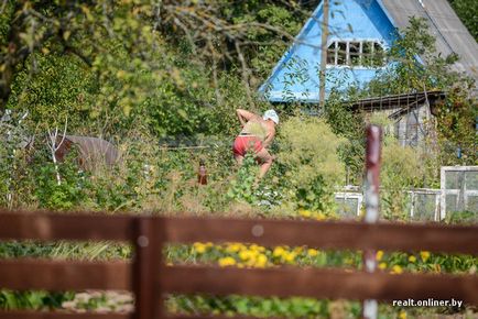 Casa-container, ca o alternativă la cabana de vară obișnuită (32 fotografii) - trinitate