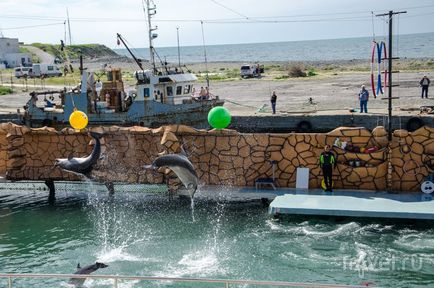 Puncte de interes Anapa Dolphinarium (Great Utrish)