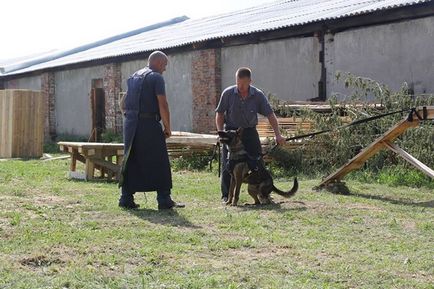 Câine de pregătire Kovalevsky Viktor Babruysk, Bobruisk, ul