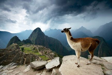 Стародавнє місто Мачу-Пікчу (machu picchu) в перу - фото, опис, карта, як дістатися