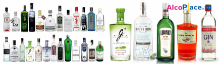Jin - compoziția, tipurile, proprietățile și istoria băuturilor