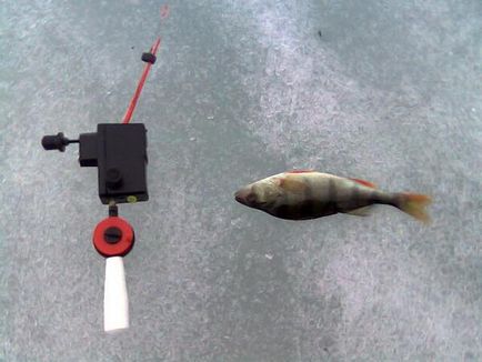 Електровудка для зимової риболовлі своїми руками