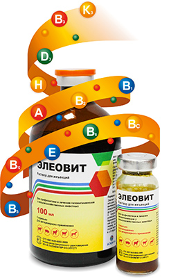 Eleovit 10 ml complex de vitamine pentru păsări, askon, cumpăra în vrac, instrucțiuni