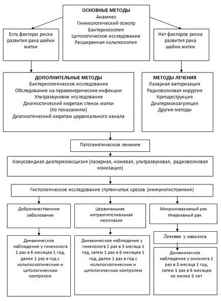 Епідеміологія і профілактика раку шийки матки в Республіці Башкортостан, креативна онкологія і