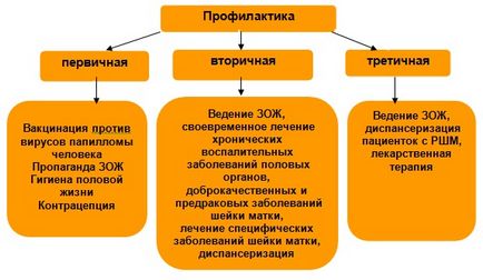 Epidemiologie și prevenirea cancerului de col uterin în Republica Bashkortostan, oncologie și