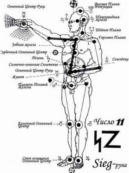 Evoluția zig-ului