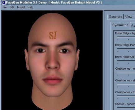 Facegen to oblivion converter