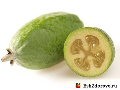 Feijoa proprietăți utile și contraindicații