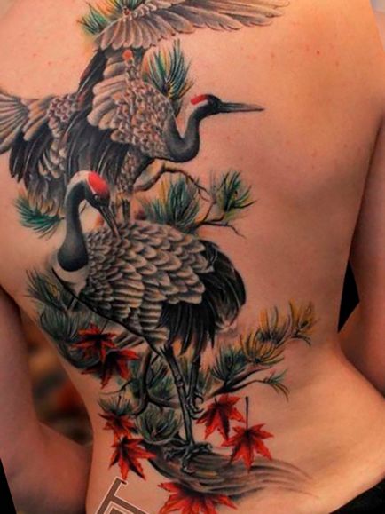 Fotografie și semnificația barză de tatuaj