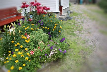 Gardening, клумба без перекопування своїми руками