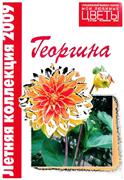 Dáliák Tsvetik (termesztés ennek a csodálatos virág) dáliák Tsvetik