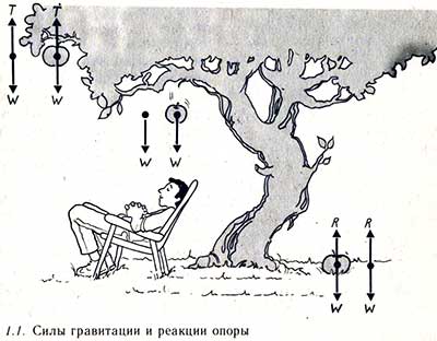 Principalele tipuri de forțe