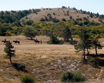 Гора ай-петрі в криму фото, як дістатися, відгук