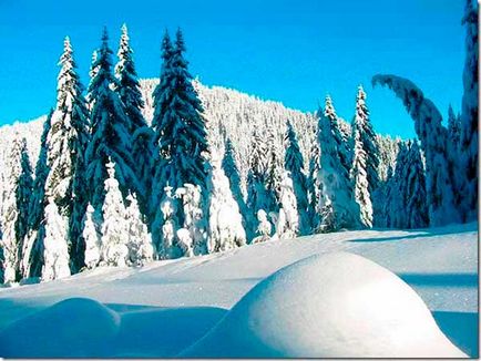 Stațiune de schi Pamporovo (pamporovo), Bulgaria, poze, itinerarii, prețuri, recenzii