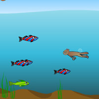 Гра плавання під водою нирець і акули