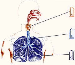 Inhalator compresor albastru drim (model bluedream p5, Italia), magazin on-line http