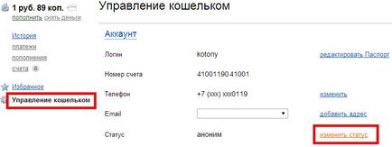 Instrucțiune pentru verificarea banilor Yandex