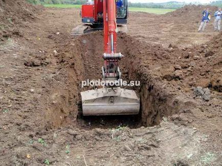 Використання екскаваторів з поворотним ковшем при будівництві пермакультурним проектів