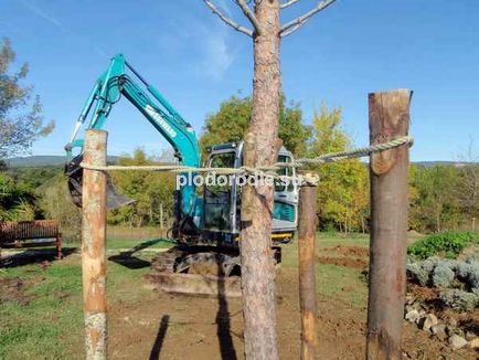 Rotációs vödör kotrók az építési projektek Permakultúra