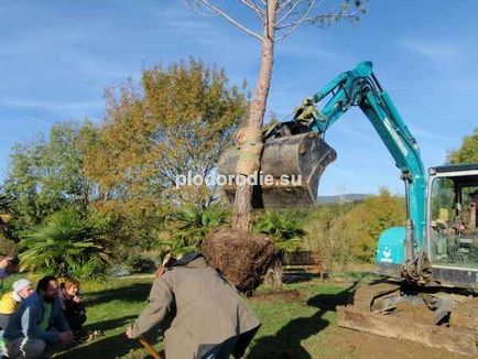 Използване на ротационен багери в изграждането на проекти пермакултурата