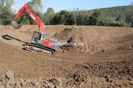 Використання екскаваторів з поворотним ковшем при будівництві пермакультурним проектів