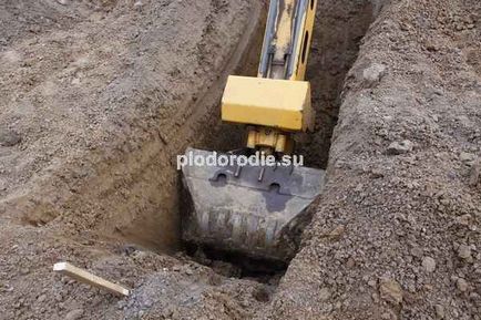 Utilizarea excavatoarelor cu o găleată pivotantă pentru construirea de proiecte permaculturale