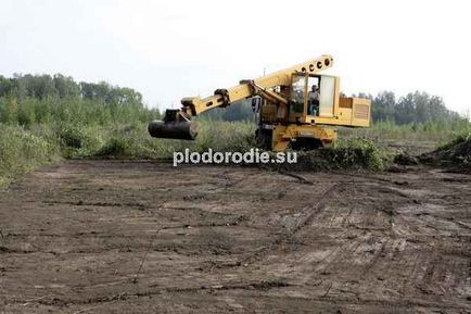 Використання екскаваторів з поворотним ковшем при будівництві пермакультурним проектів