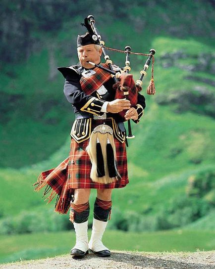 Un adevărat Scot este o descriere a Scottish Fold, Scottish Scottish Fold,