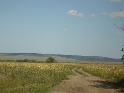 ISTORIE DE CĂLĂTORIE PENTRU Râul MEDVEDIC