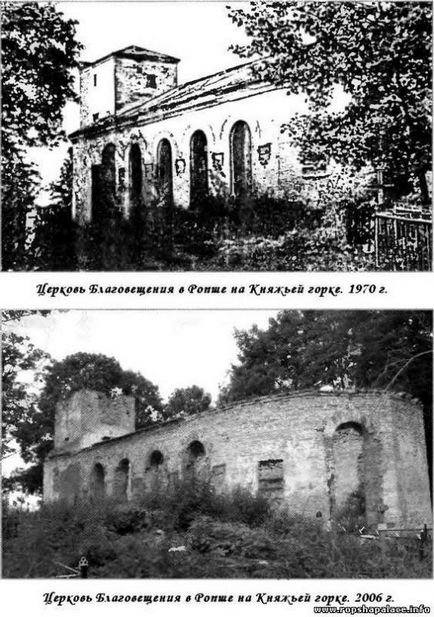 Історія Ропши, Ропшинских сільське поселення