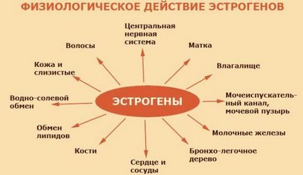 Надлишок або нестача гормонів в організмі