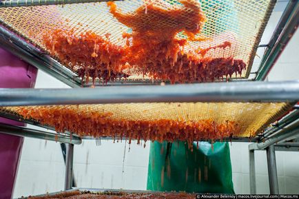 Cum sa faci caviar rosu, lumea in fotografii