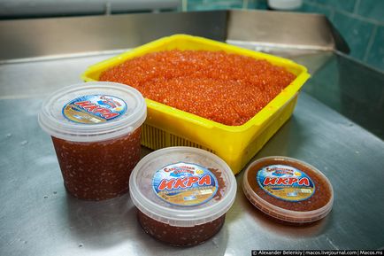 Cum sa faci caviar rosu, lumea in fotografii