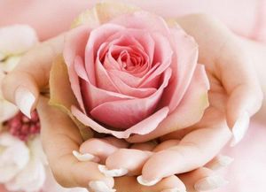 Cât timp pentru a salva trandafiri într-o vază, plante stradă, sfaturi de moda - revista femeilor online