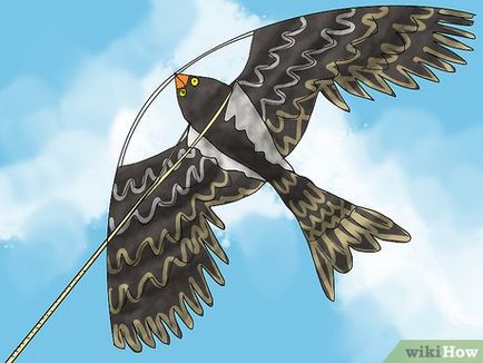 Як ловити голубів