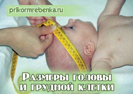 Як змінюються в немовлят розмір голови і окружність грудної клітини