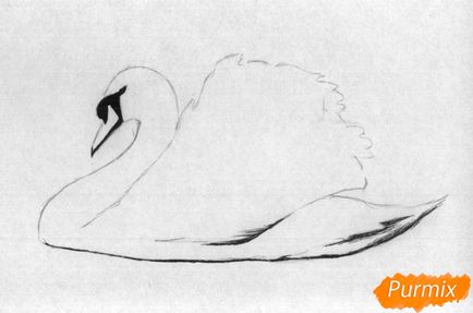 Cum de a desena o lebădă albă cu creioane și stilou