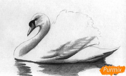 Як намалювати білого лебедя олівцями і ручкою