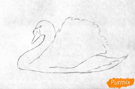 Як намалювати білого лебедя олівцями і ручкою