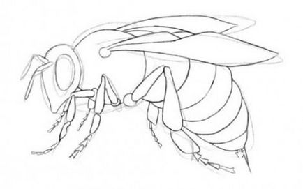 Cum de a desena o albină sau cum să desenezi o lecție de desen pas cu