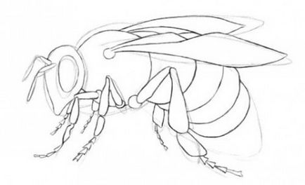 Cum de a desena o albină sau cum să desenezi o lecție de desen pas cu pas