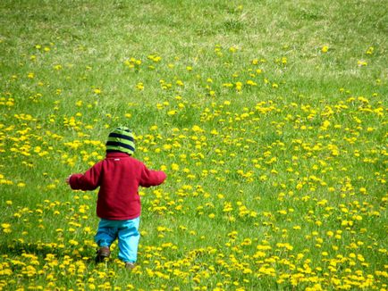 Як навчити дитину ходити самостійно без підтримки (комаровский)