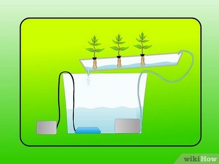 Cum să menținem mediul nutritiv în rezervorul hidroponic