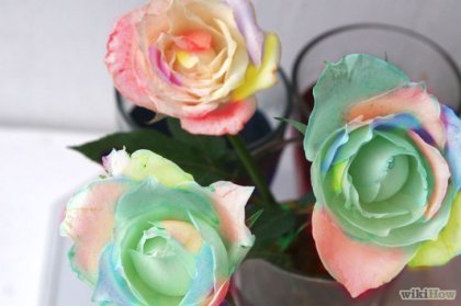 Cum să culoarea trandafirilor uscați