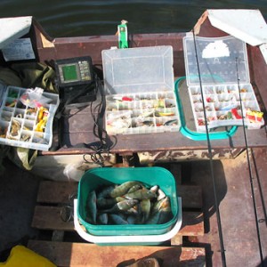 Як правильно підібрати приманку для риболовлі на прісних водоймах »