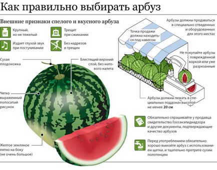 Як правильно вибрати кавун, «країна рад»